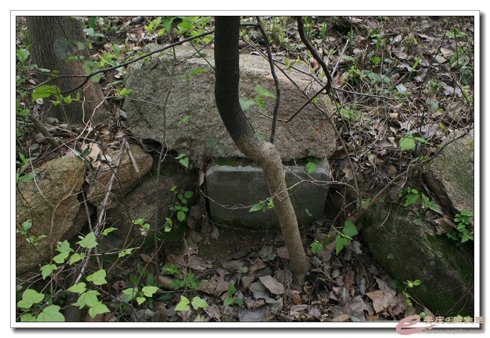 20150329 043.jpg