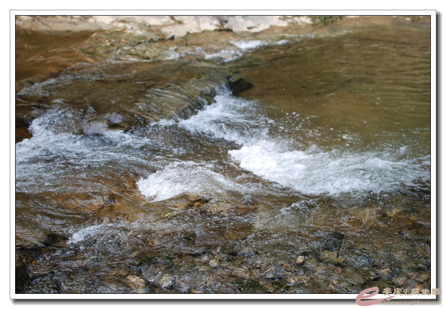DSC_5744.jpg