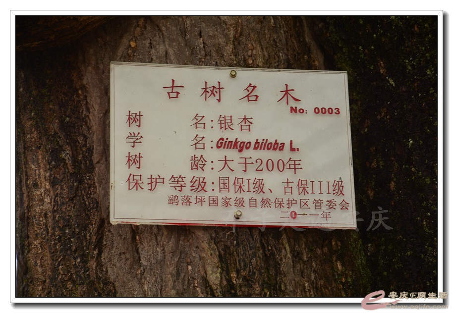 20160402 073.jpg