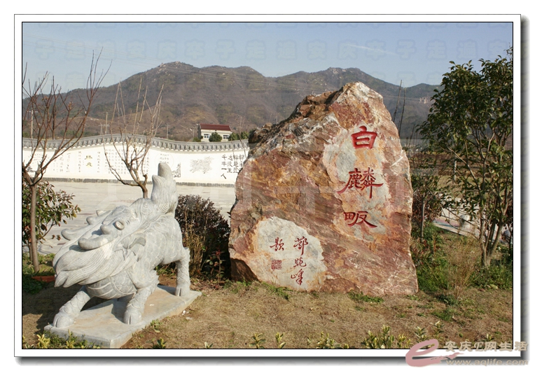 20140315 334.jpg