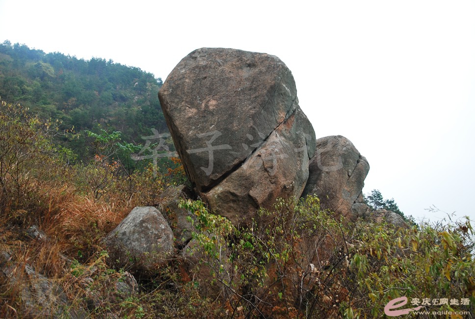 DSC_1326.jpg