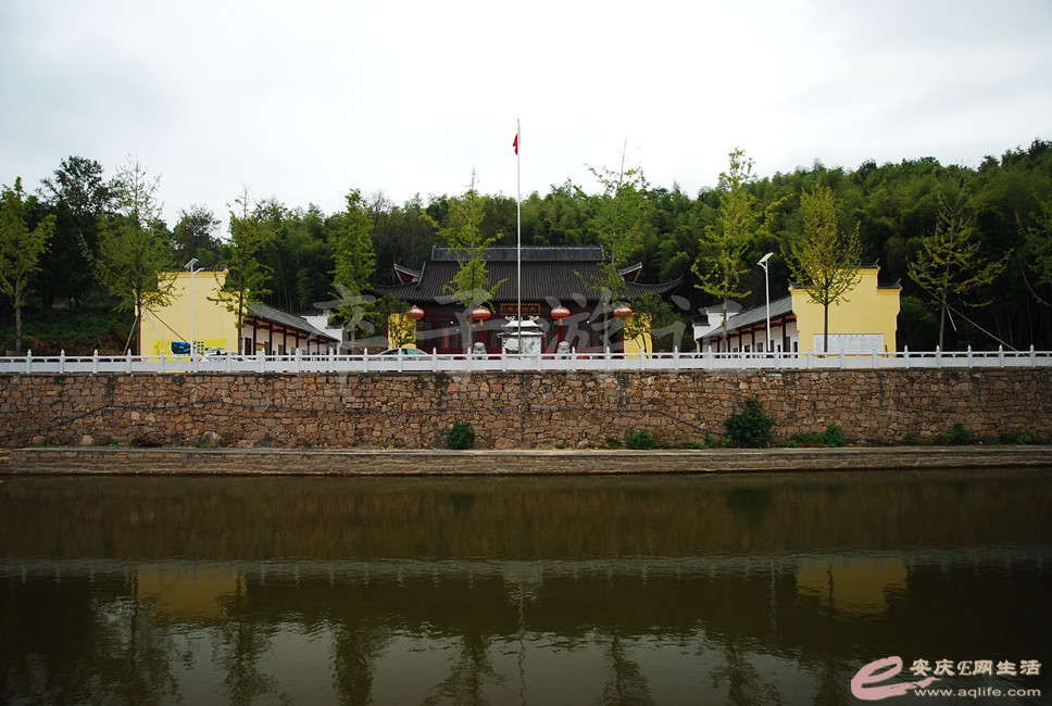 DSC_1562.jpg