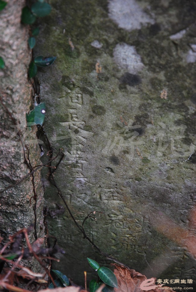 DSC_1582.jpg
