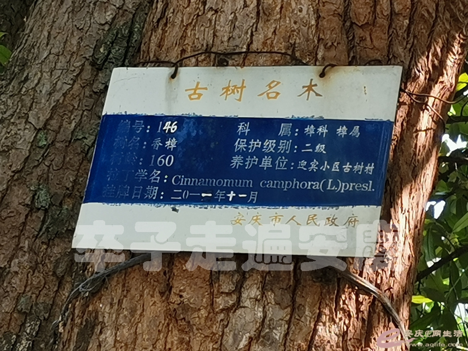 IMG_20200409_083214.jpg