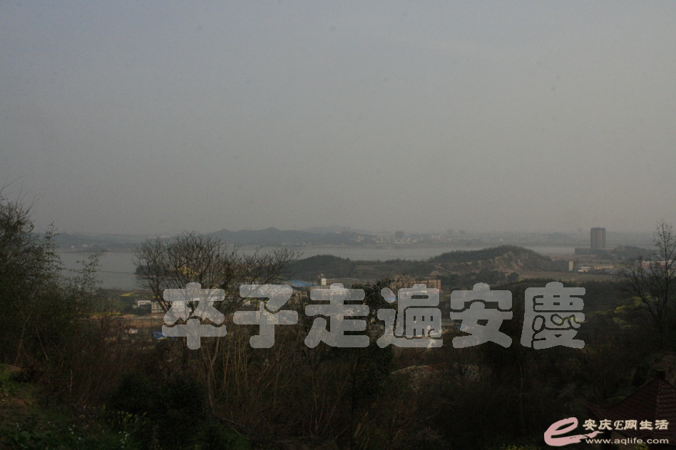 20170311 264.jpg