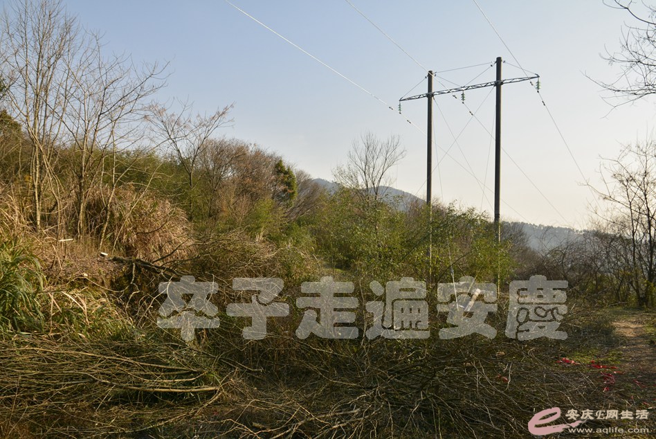 20170121 074.jpg
