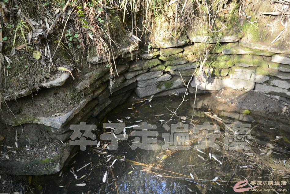 20170121 087.jpg