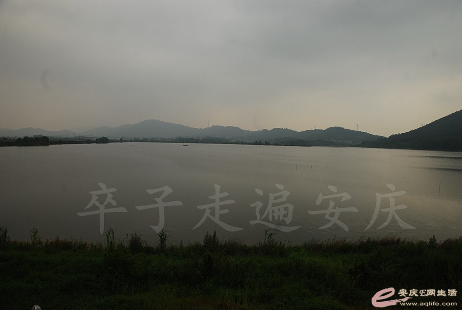 DSC_4090.jpg