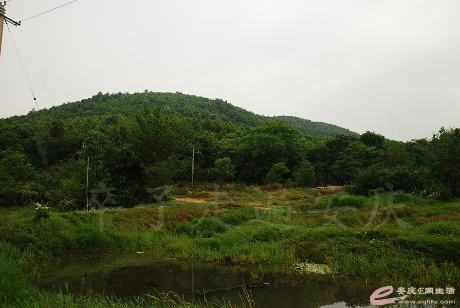 DSC_4103.jpg