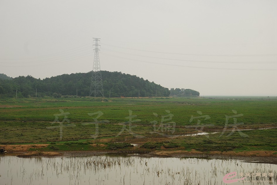 DSC_4126.jpg