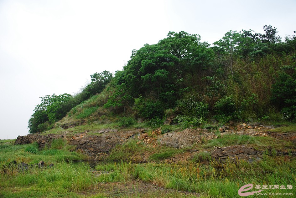 DSC_4146.jpg