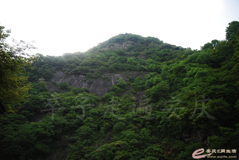 DSC_5017.jpg