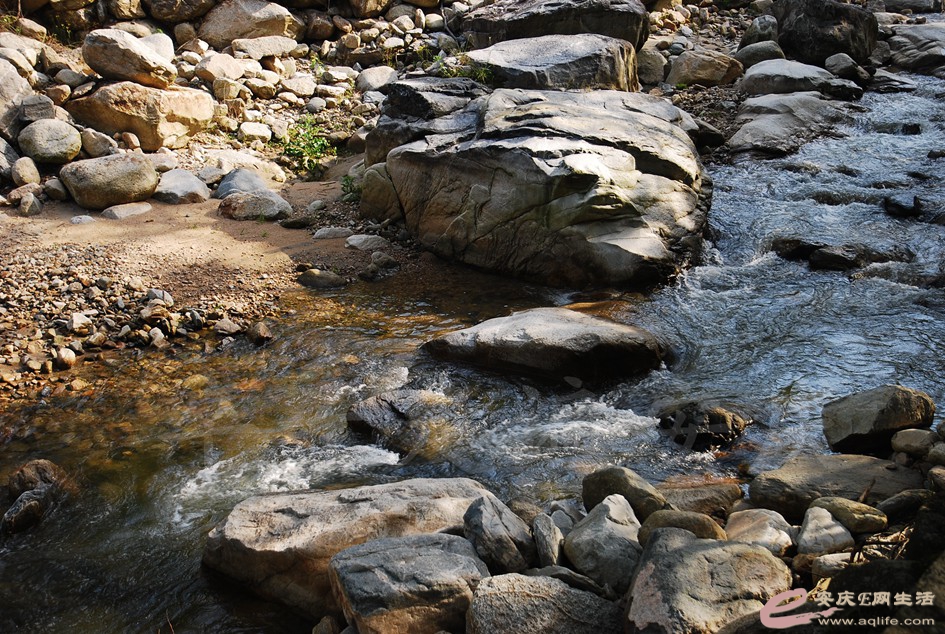 DSC_5041.jpg