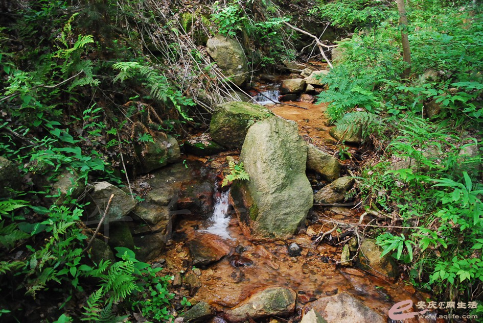 DSC_4209.jpg