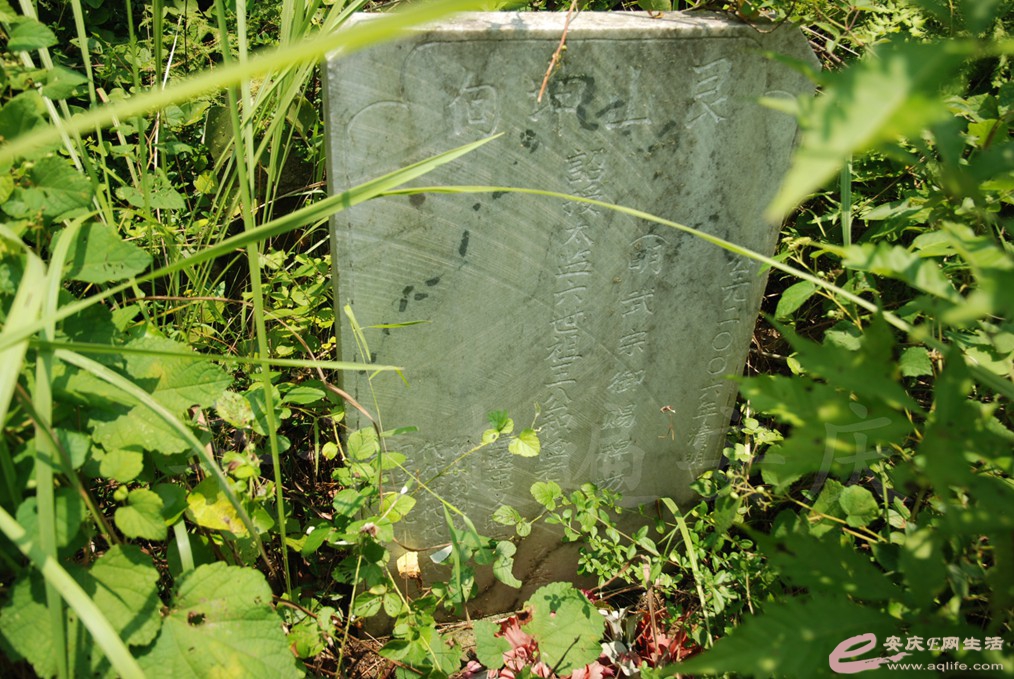 DSC_5206.jpg