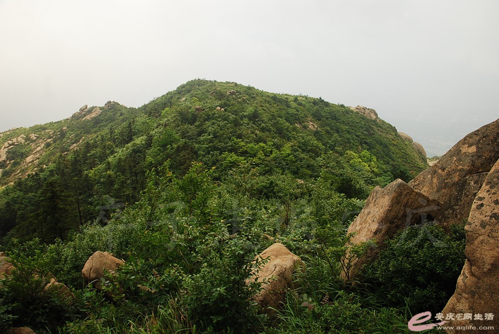 DSC_4488.jpg