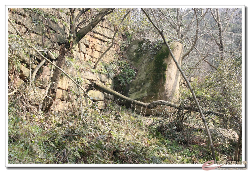 20150307 337.jpg