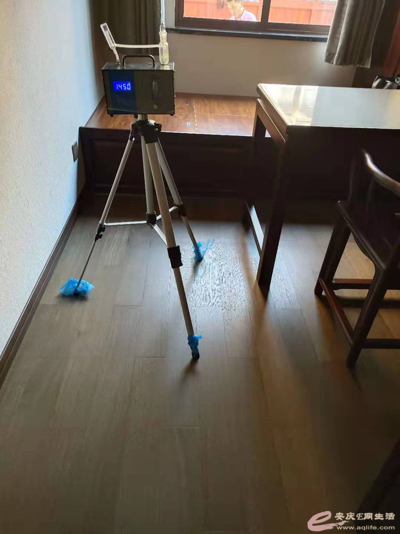 鷿.jpg