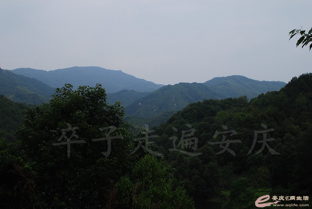 DSC_8035.jpg