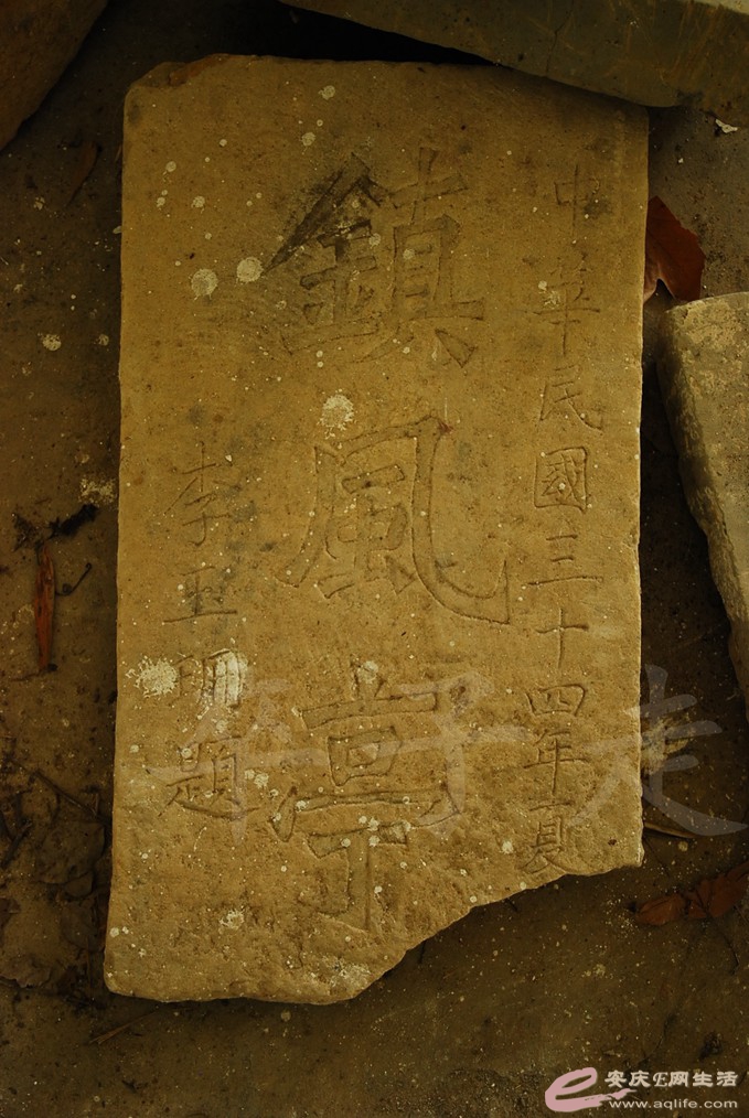 DSC_7130.jpg