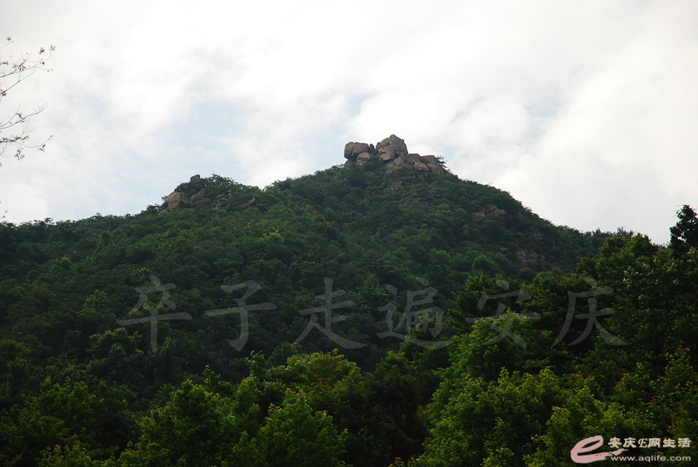 DSC_4517.jpg