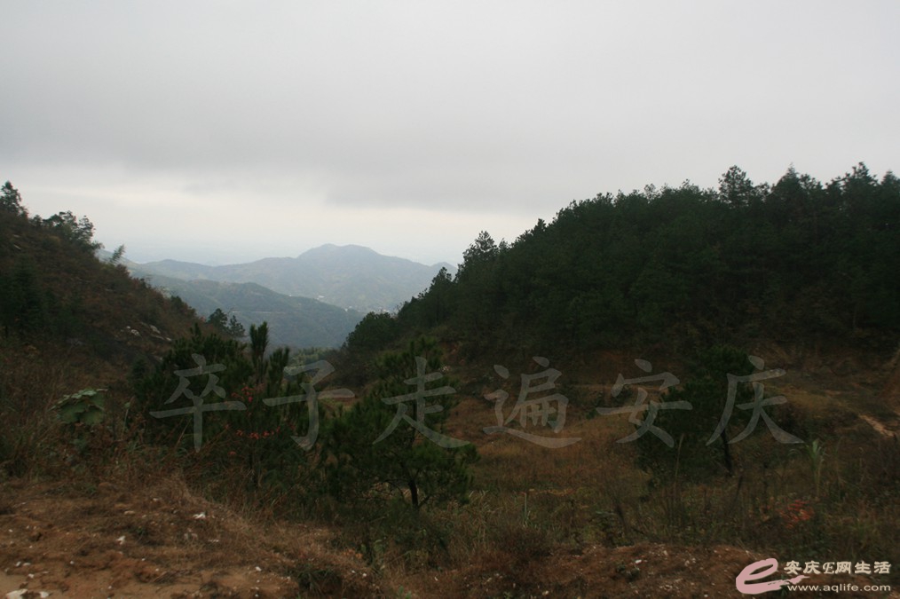 20161112 087.jpg
