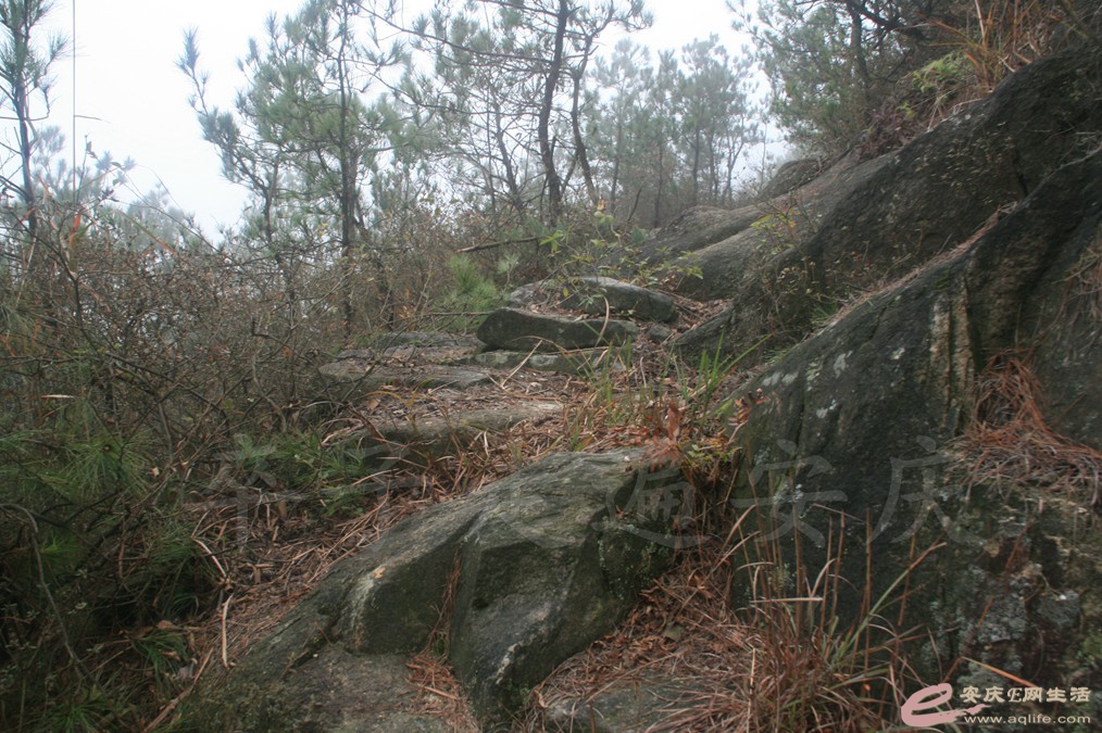 20161112 150.jpg