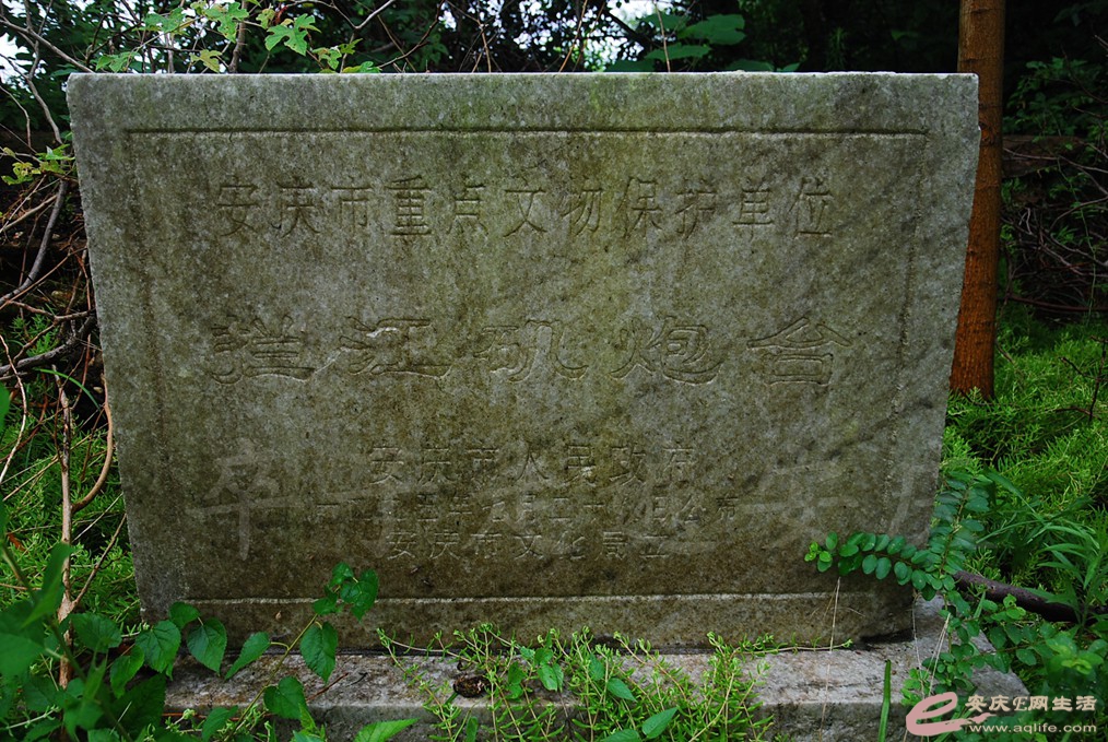 DSC_4696.jpg