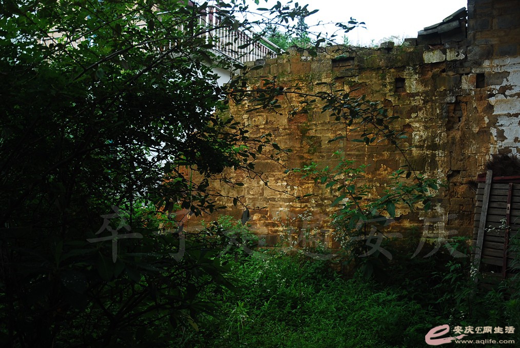 DSC_4881.jpg