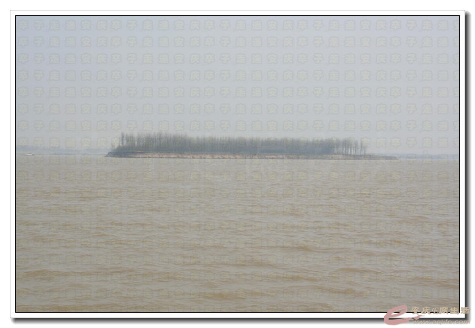 20150328 039.jpg