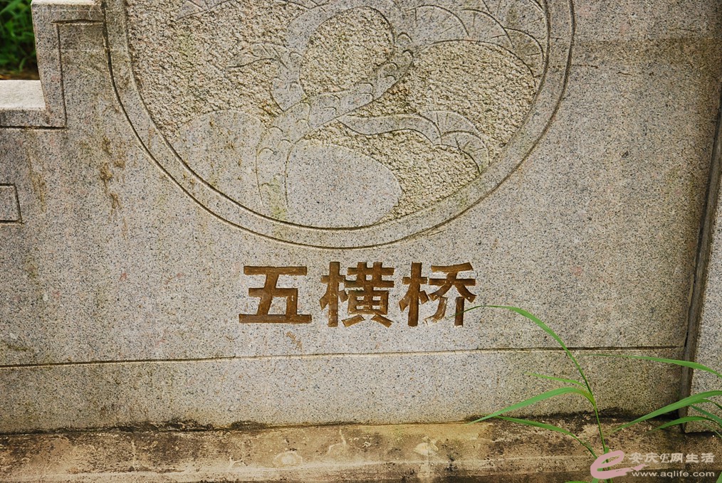 DSC_5038.jpg