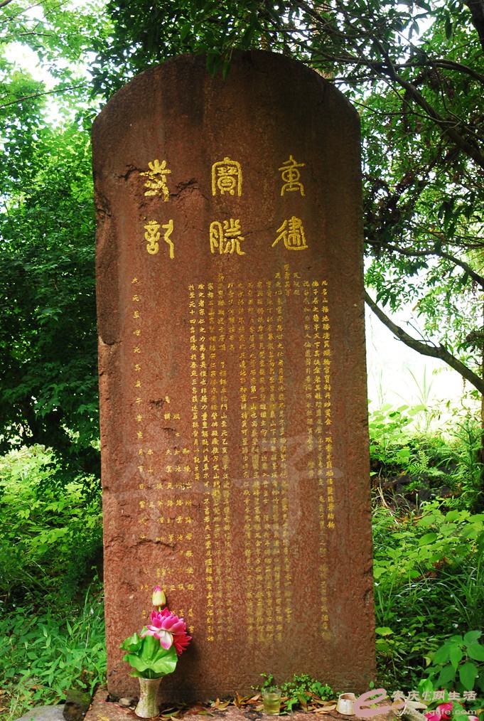DSC_6588.jpg