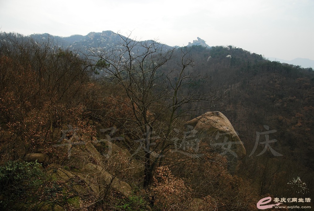 DSC_2971.jpg