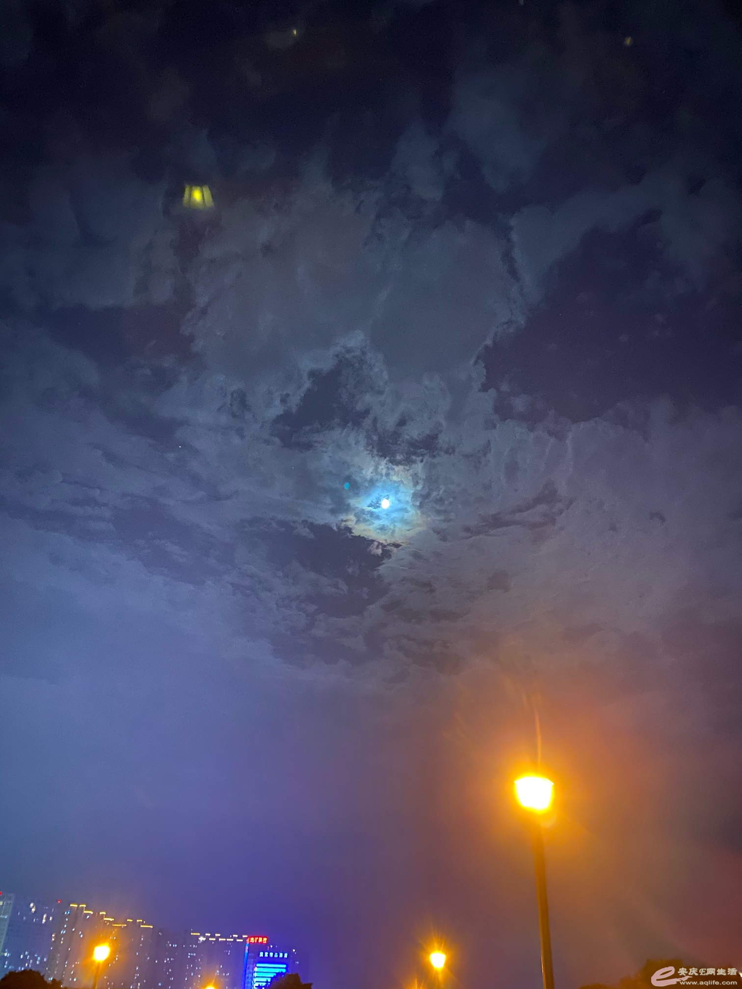 1600051929474729625.jpg