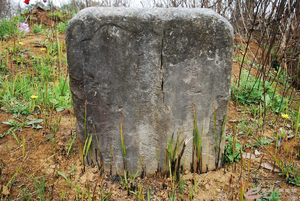 DSC_2416.jpg