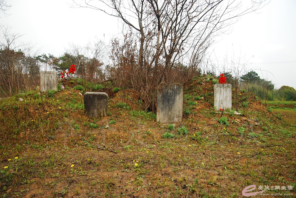 DSC_2428.jpg