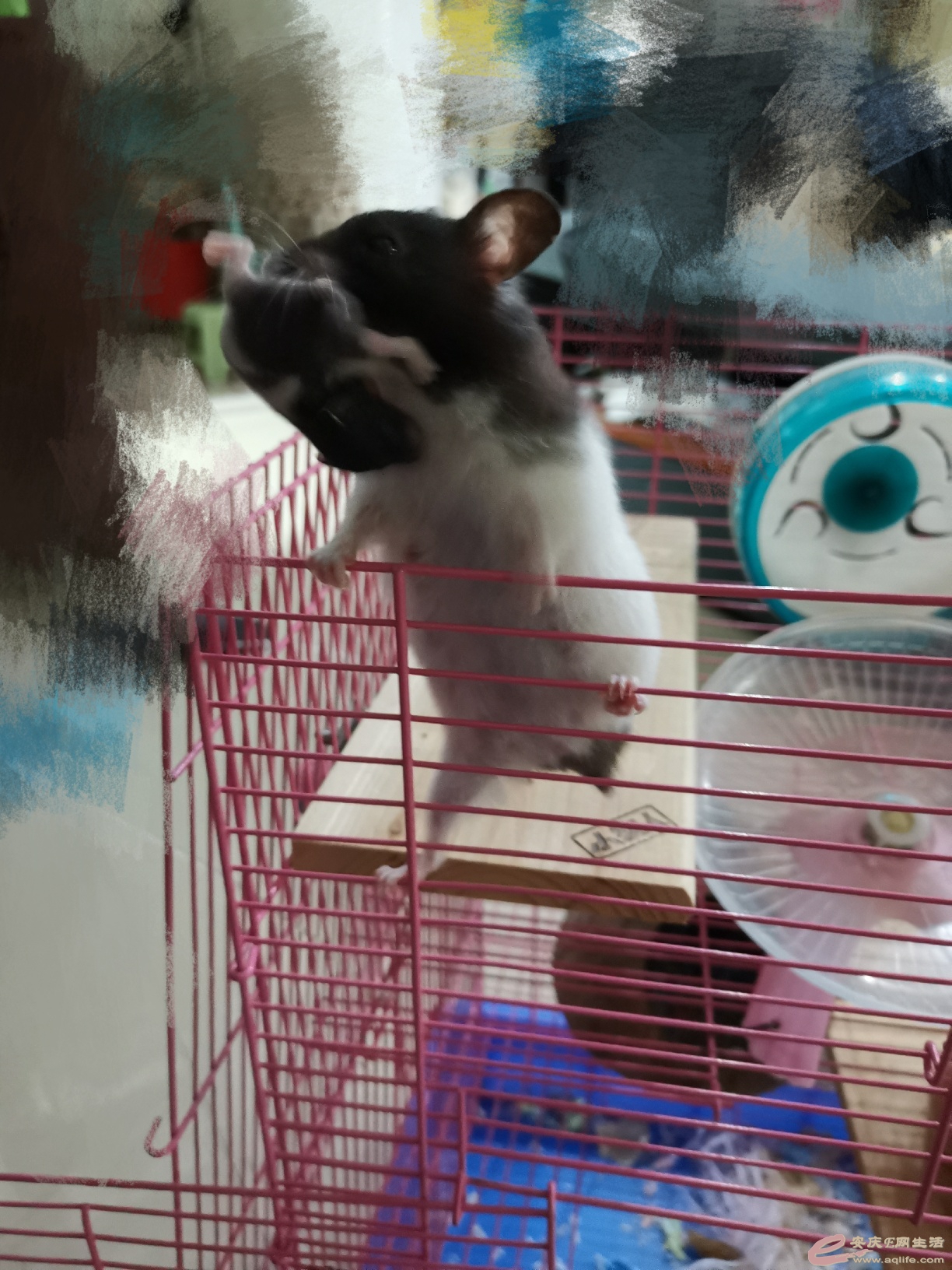 160070433627941.jpeg