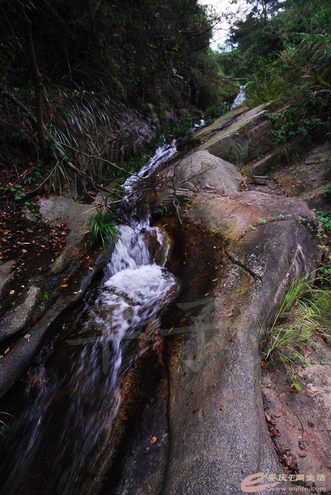 DSC_5274.jpg