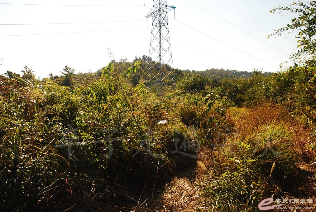 DSC_6084.jpg