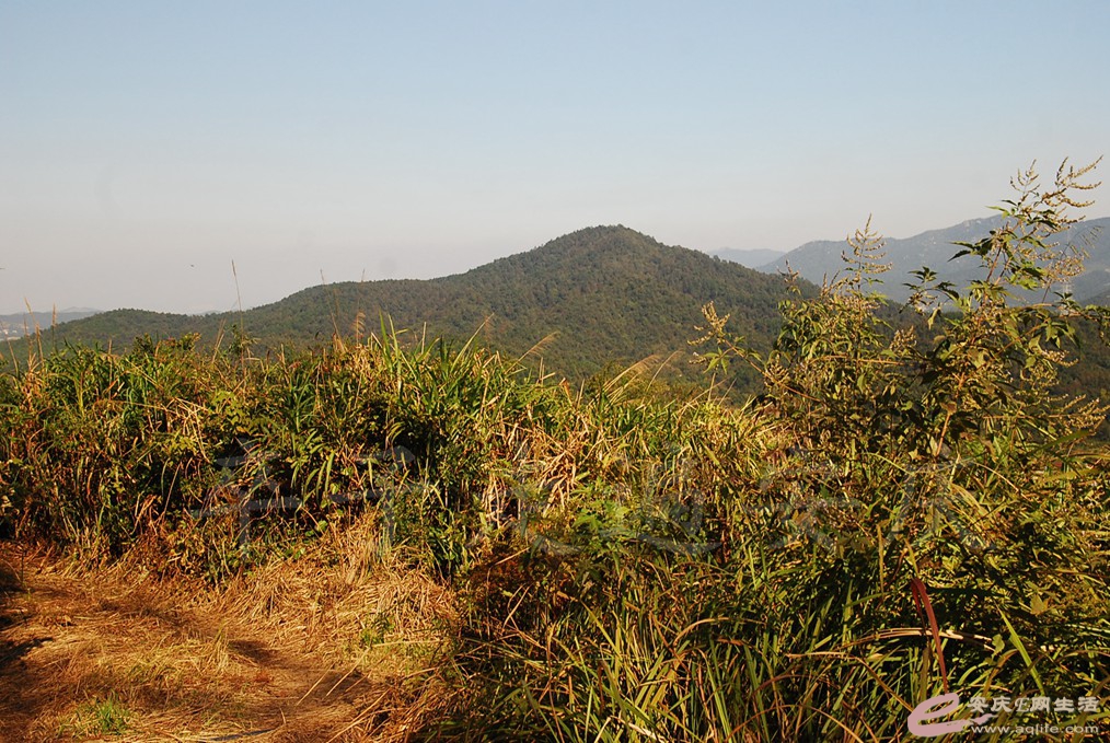 DSC_6086.jpg