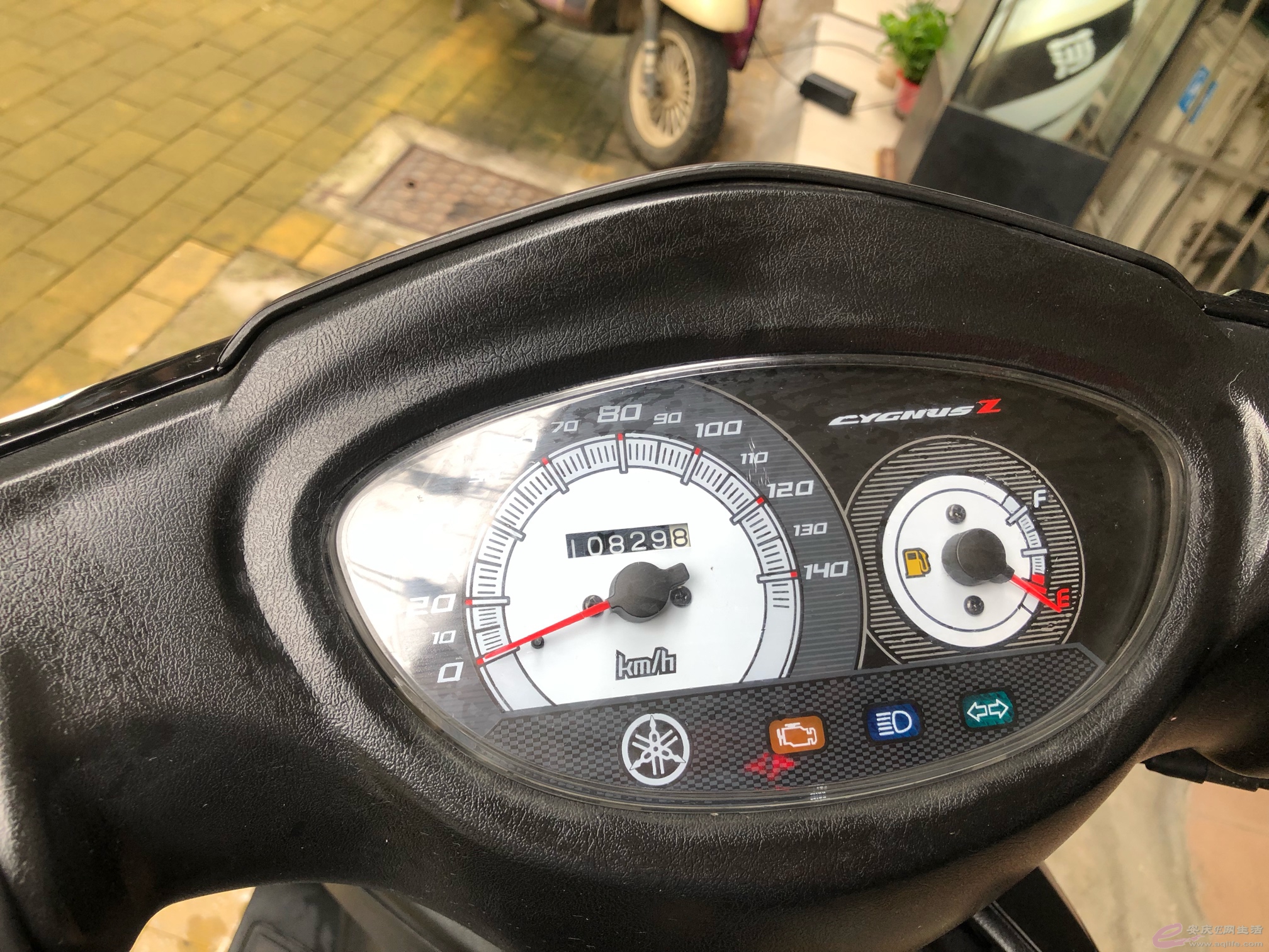 160299169069978946.jpg