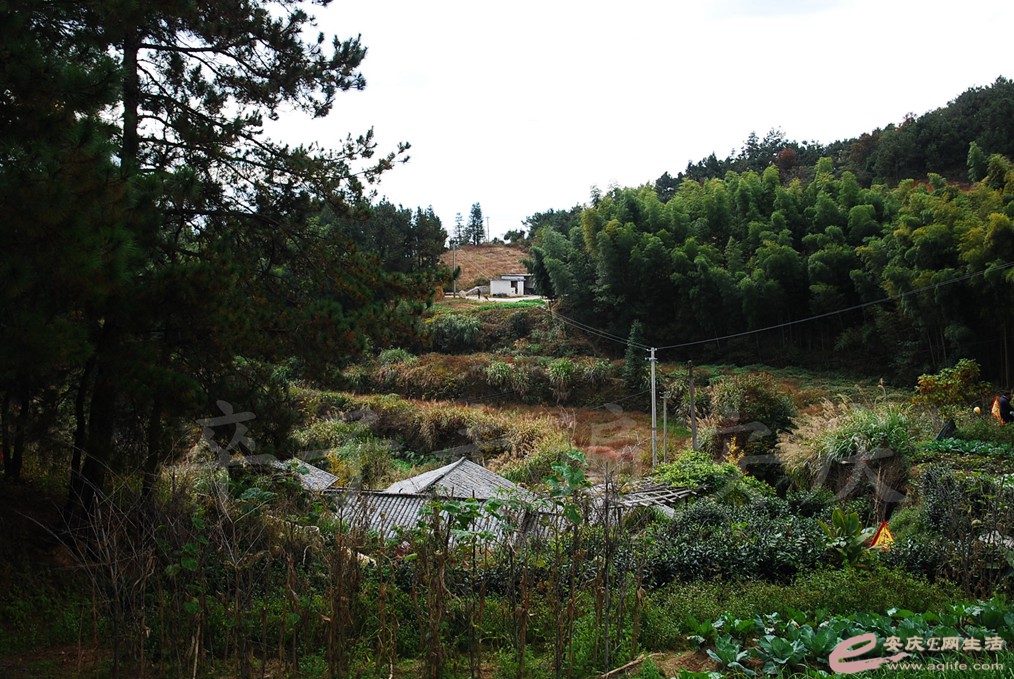 DSC_6196.jpg