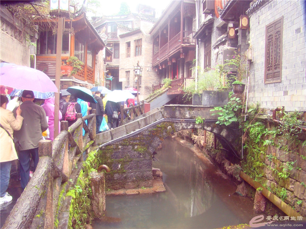 DSC09267_.jpg