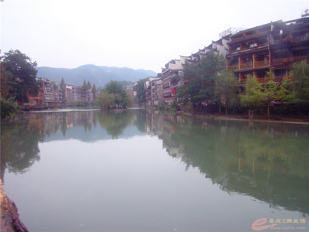 DSC09200_.jpg