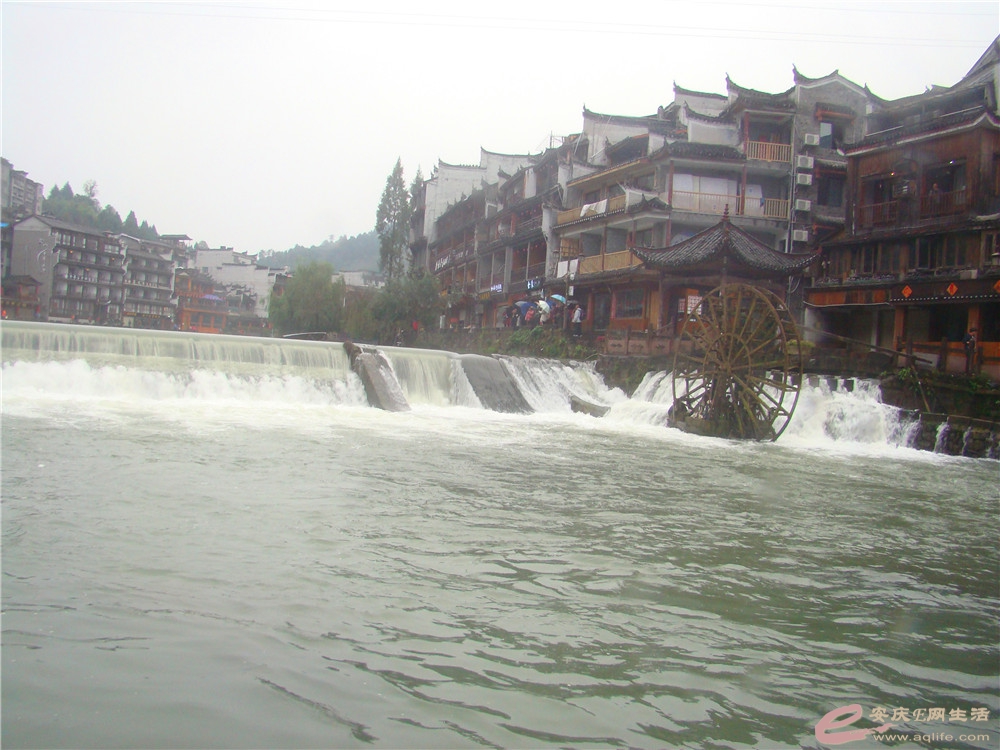DSC09212_.jpg