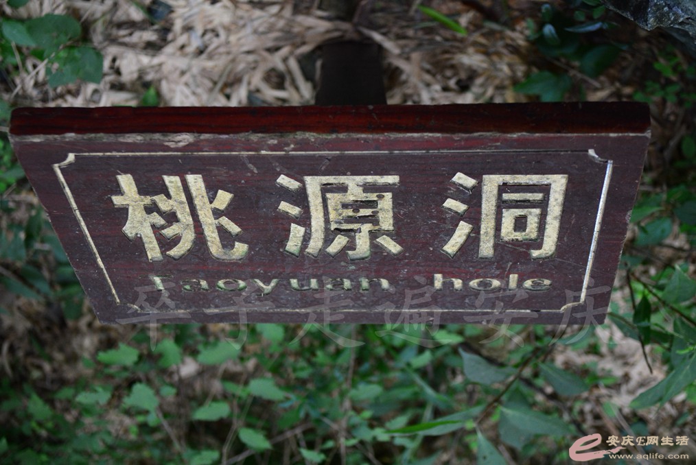 20170708 165.jpg