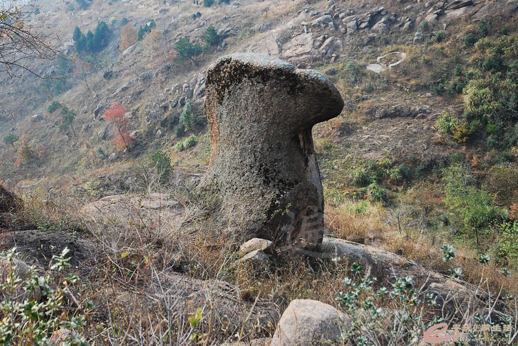 DSC_6529.jpg