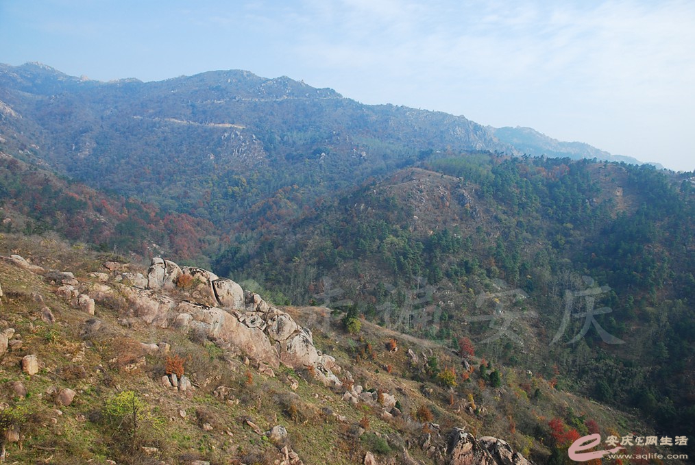 DSC_6592.jpg