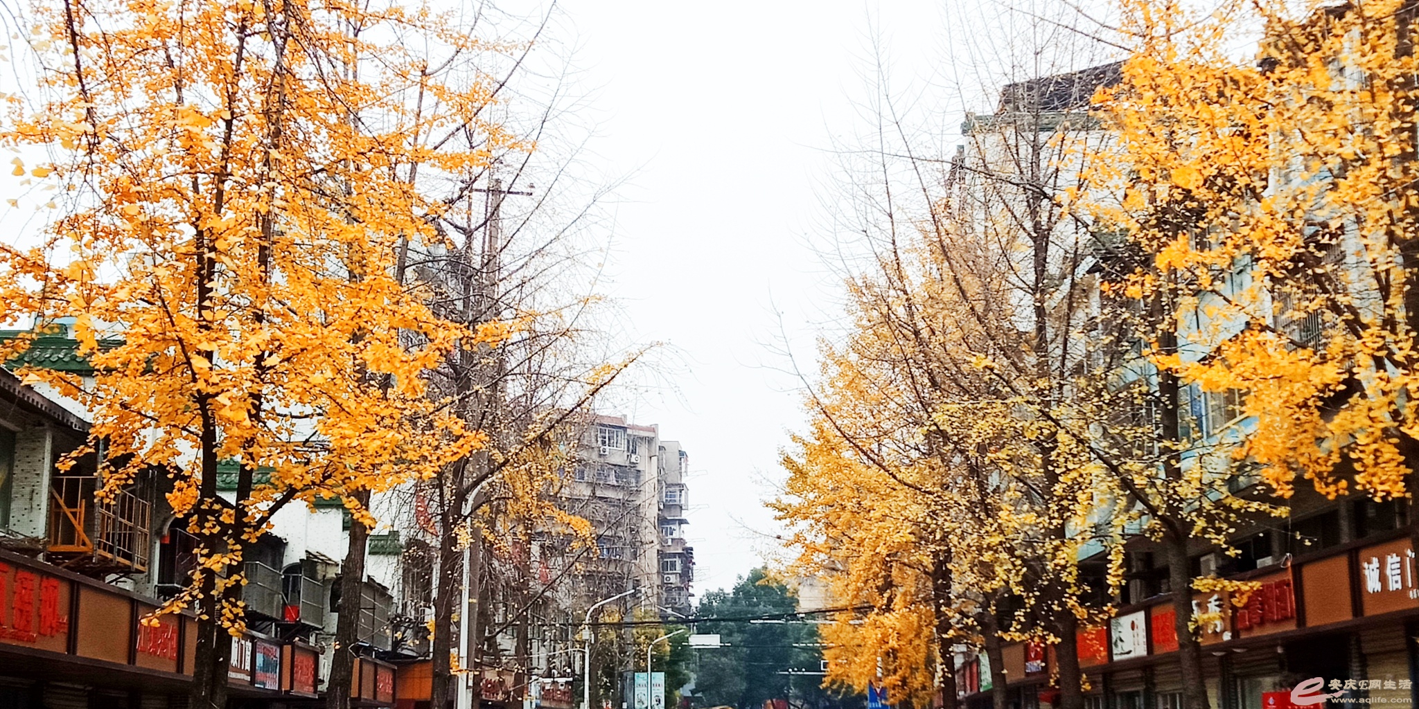 1607845109500531.jpeg