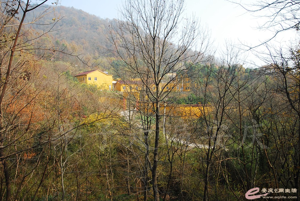 DSC_6666.jpg